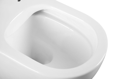 ESTELLA RIMLESS Безободковый подвесной унитаз EWC700-121W CHARUS фото в интернет-магазине Русалия