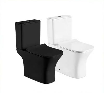 Унитаз VETTORE MW ТЕРМООБЖИГ (не плёнка) безободковый белый матовый Ceruttispa CT9240 (665х345х770) фото в интернет-магазине Русалия