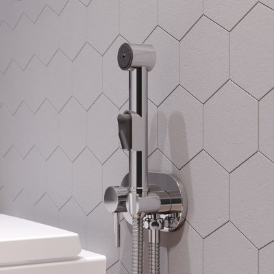 212000000 Option, смеситель монтируемый в стену, с гиг.душем фото в интернет-магазине Русалия