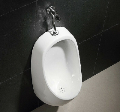 Писсуар подвесной CeramaLux X541P фото в интернет-магазине Русалия