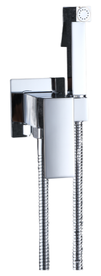 Гигиенический душ встраиваемый RUSH Thira (TR3635-99) фото в интернет-магазине Русалия