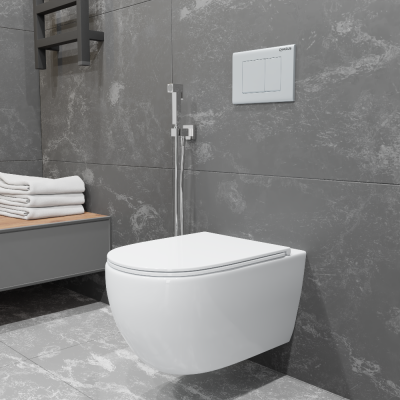 SKANDENBORG RIMLESS Безободковый подвесной унитаз EWC700-125W CHARUS фото в интернет-магазине Русалия