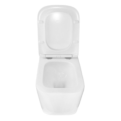 Унитаз подвесной безободковый Delphi 91343 Торнадо с сиденьем микролифт Loranto фото в интернет-магазине Русалия