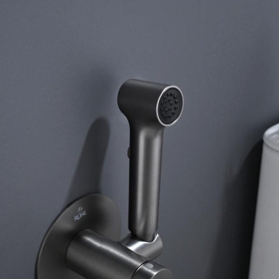 Гигиенический душ со смесителем Rose R235T, оружейная сталь фото в интернет-магазине Русалия