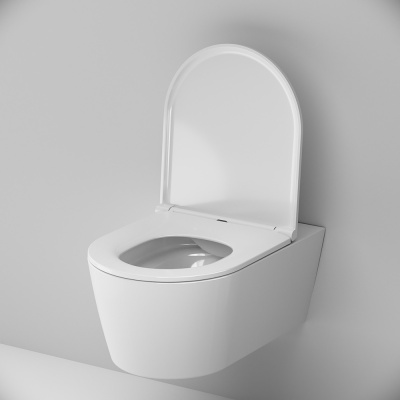 C8F1701SC Func подвесной унитаз 54 см FlashClean с сиденьем микролифт фото в интернет-магазине Русалия