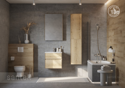 Раковина Santek Элина 60 отверстие под смеситель 1WH501606 фото в интернет-магазине Русалия