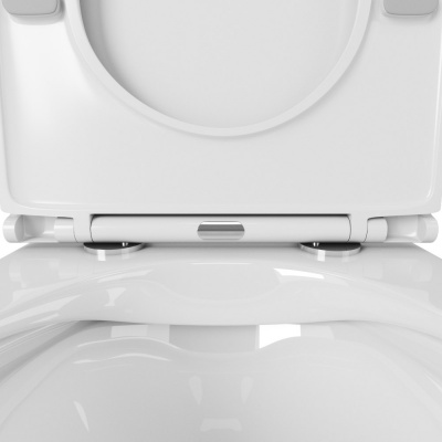 Унитаз подвесной Curve Cirkel-H с сиденьем микролифт OWLT190802 OWL фото в интернет-магазине Русалия