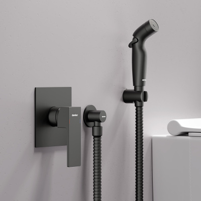 537510300 Gala Смеситель монтируемый в стену с гиг.душем, черный Damixa фото в интернет-магазине Русалия