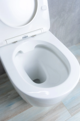 Унитаз приставной Gid TRS-269 62213Y белый 56x36.5x42 фото в интернет-магазине Русалия