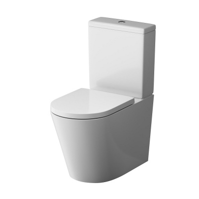 C8F8600SC Func унитаз-компакт безободковый с сиденьем микролифт Am.Pm фото в интернет-магазине Русалия