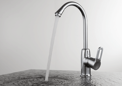 Смеситель для кухни DK Rhein Paulinus (DA1352401) фото в интернет-магазине Русалия