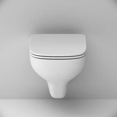 C85A1702SC X-Joy S подвесной унитаз FlashClean с сиденьем микролифт фото в интернет-магазине Русалия