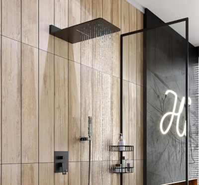 Душевая система встроенная Timo Briana SX-7139/03SM черный фото в интернет-магазине Русалия