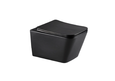 Унитаз подвесной Tornado Gid Tr2143TF-BM 62302Y черный матовый 49x34x36 фото в интернет-магазине Русалия