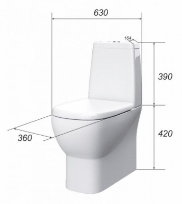 Унитаз Infinity с сиденьем микролифт INFSLCC01040522 Sanita Luxe фото в интернет-магазине Русалия