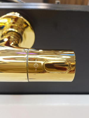 Смеситель для ванны Costanza 0214 Or AltroBagno фото в интернет-магазине Русалия