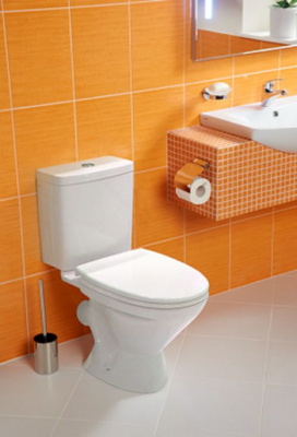 Унитаз - компакт с сиденьем полипропилен Лига 1WH302197 Сантек фото в интернет-магазине Русалия