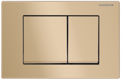 Клавиша для инсталляции CHARUS TM FP.310.51.01 фото в интернет-магазине Русалия