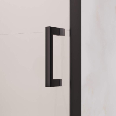 Душевая дверь RGW PA-008B 1000, стекло прозрачное, профиль черный фото в интернет-магазине Русалия