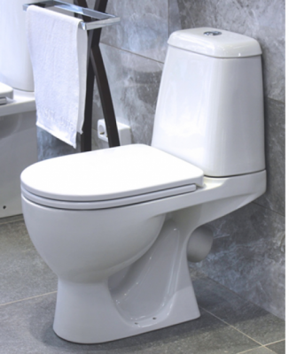 Унитаз MAX Comfort с сиденьем микролифт WC.CC/Max/2-DM/WHT.G/S1 Sanita Luxe фото в интернет-магазине Русалия