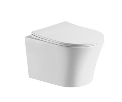 Унитаз ADIGE Aria подвесной безободковый Ceruttispa CT7837 (490x360x355) фото в интернет-магазине Русалия