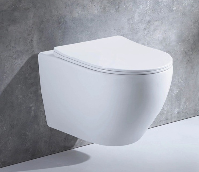 Унитаз подвесной CeramaLux 2196 -1 бело-глянцевый фото в интернет-магазине Русалия