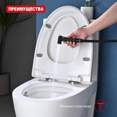 Лейка для гигиенического душа Raglo R460.04.06, черный фото в интернет-магазине Русалия
