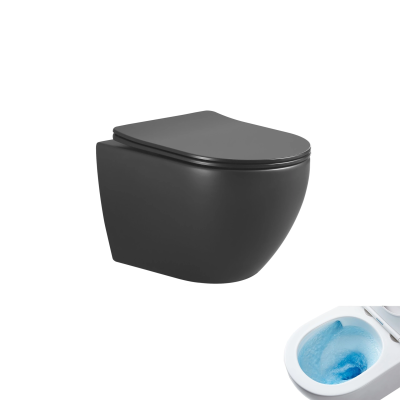 Унитаз подвесной Tornado Gid Tr2122TF-Bm 62261Y черный матовый 49x36x36 фото в интернет-магазине Русалия