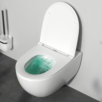 IS49001.111700 Комплект инсталляция с клав Pro L белый с подвесным унитазом Awe FlashClean с сид м/л фото в интернет-магазине Русалия