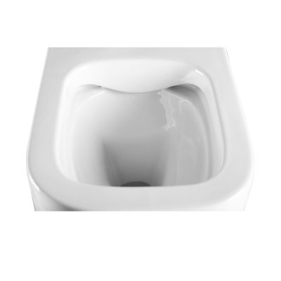 PINTO RIMLESS Безободковый подвесной унитаз EWC700-126W CHARUS фото в интернет-магазине Русалия