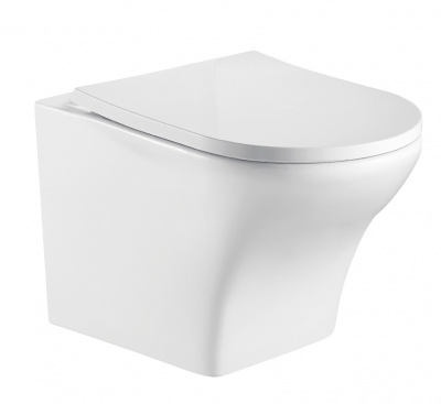 Унитаз подвесной безободковый с сиденьем микролифт ODENBACH 004 GL-WT WeltWasser фото в интернет-магазине Русалия