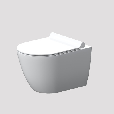 DX22C1700SC Apollo подвесной унитаз без ободка с сиденьем микролифт фото в интернет-магазине Русалия