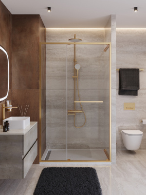 Душевая дверь CEZARES LUX-B-FS-11-120-C-BORO фото в интернет-магазине Русалия