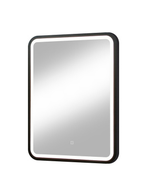 Зеркало с подсветкой Enjoy Black 600х800 ЗЛП1100 Continent фото в интернет-магазине Русалия