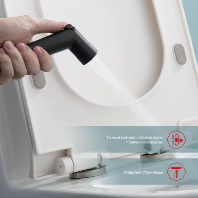 Гигиенический душ с термостатом Raglo R23.56.06, черный фото в интернет-магазине Русалия