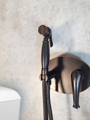 Встраиваемый гигиенический душ AltroBagno Beatrice 060112 BrNe AltroBagnoBeatrice060112BrNe фото в интернет-магазине Русалия