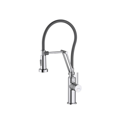 Смеситель для кухни 2 jet (профессиональный) AQUATEK AQ1388CR ЕВРОПА фото в интернет-магазине Русалия