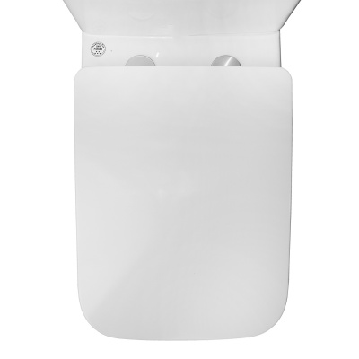 Унитаз безободковый AZ-1038A N Fretta Square с сиденьем микролифт Azario фото в интернет-магазине Русалия