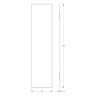 Зеркало настенное с фацетом Standard EVOFORM 30x120 см, BY 0237 фото в интернет-магазине Русалия