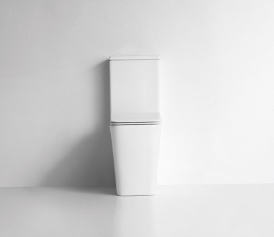 Унитаз напольный NS-2170 безободковый с сиденьем микролифт Ceramalux фото в интернет-магазине Русалия