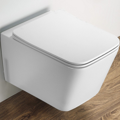 Унитаз подвесной с сиденьем микролифт 5170MW белый матовый CeramaLux фото в интернет-магазине Русалия