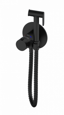 Гигиенический душ с термостатом BM 060402 NeOp AltroBagno фото в интернет-магазине Русалия