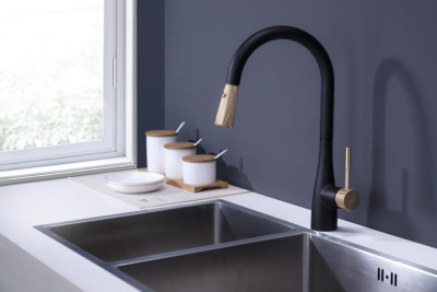 Смеситель для кухни DK Rhein.Schiller (DA1462517A) фото в интернет-магазине Русалия