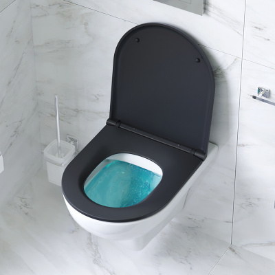 C901700SCmb Gem подвесной унитаз FlashClean с черным матовым сиденьем микролифт фото в интернет-магазине Русалия