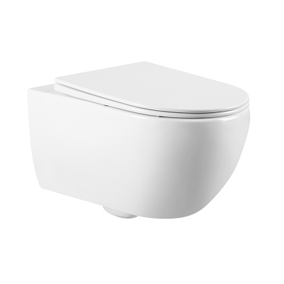 SKANDENBORG RIMLESS Безободковый подвесной унитаз EWC700-125W CHARUS фото в интернет-магазине Русалия