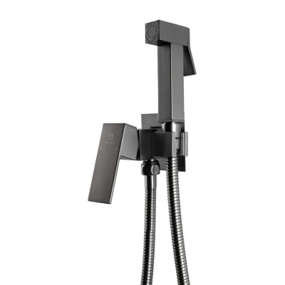 Гигиенический душ со смесителем встраиваемый FILARETE Fing FL101BG, графит фото в интернет-магазине Русалия