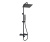 A299.255.218.BM Thermo Душевой комплект с термостатическим смесителем Wasserkraft фото в интернет-магазине Русалия