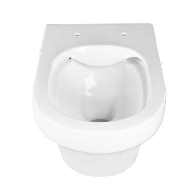 FRANZ D RIMLESS Безободковый подвесной унитаз EWC700-124W CHARUS фото в интернет-магазине Русалия