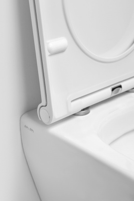 C701700WH Spirit V2.0 подвесной унитаз FlashClean фото в интернет-магазине Русалия