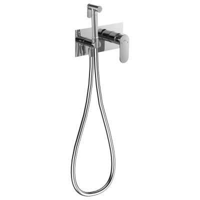 Смеситель встраиваемый FASHUN с гигиенической лейкой (A7585) фото в интернет-магазине Русалия